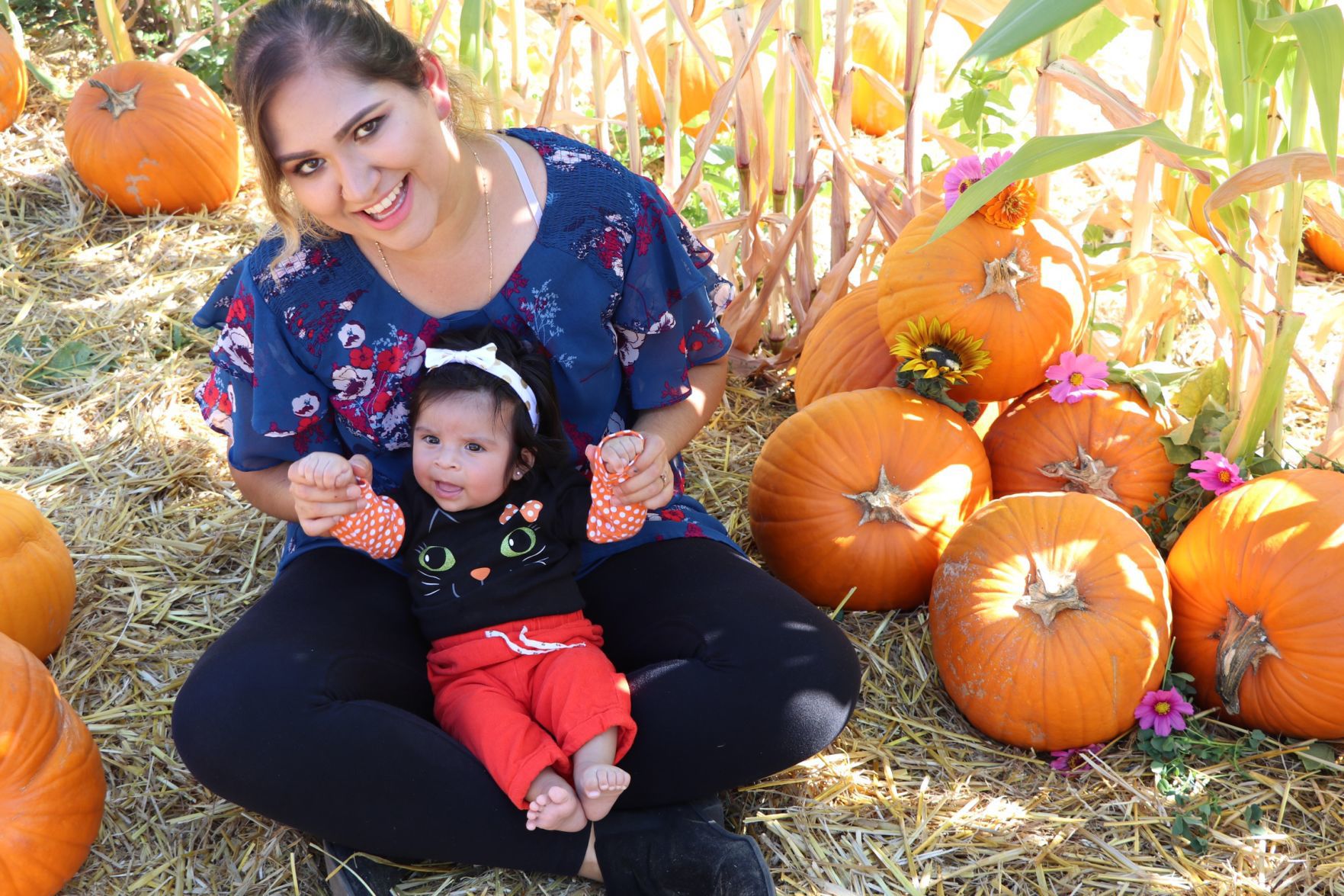 Picking Pumpkins 2019